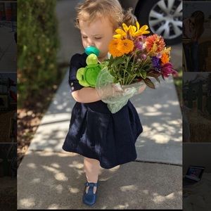 Petite Bateau Navy Dress